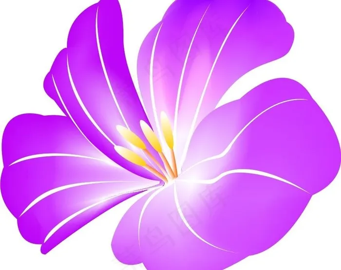 杜鹃花cdr矢量模版下载
