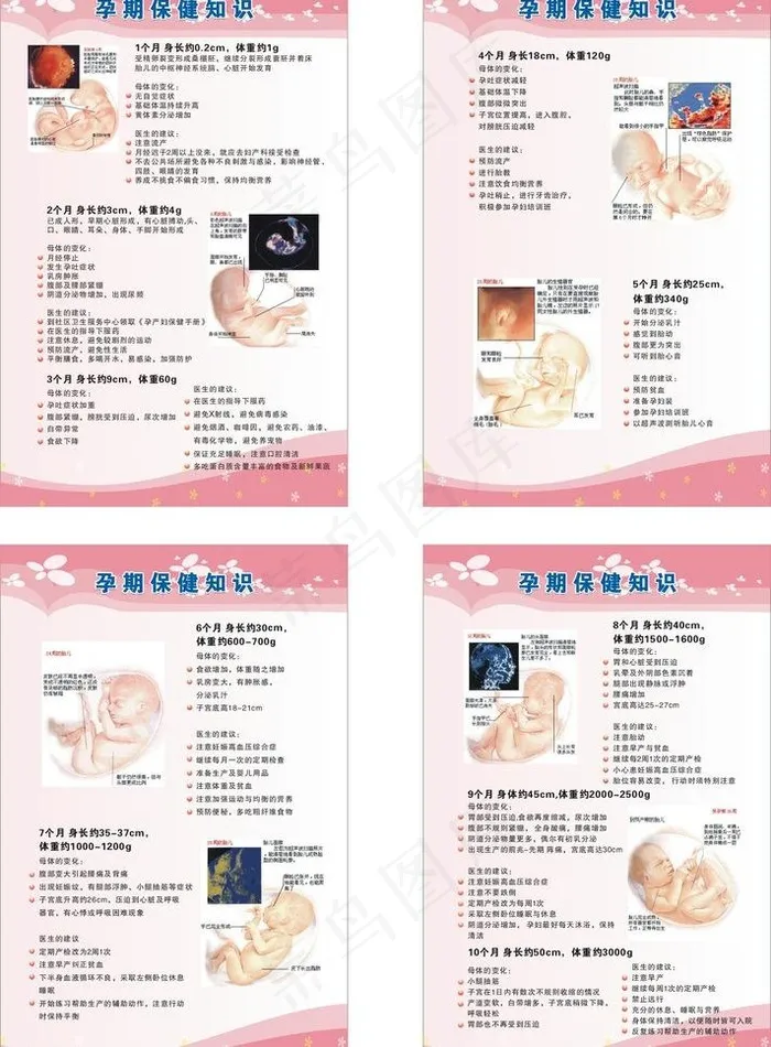 孕期保健知识图片cdr矢量模版下载