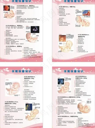 孕期保健知识图片