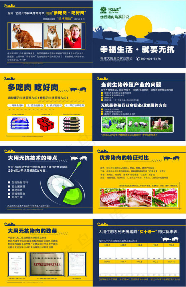 猪肉产品画册设计矢量素材cdr矢量模版下载