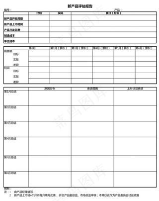 新产品评估报告