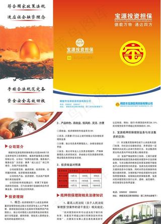 宝源投资担保图片