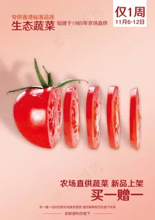 生态西红柿海报 生态西红柿海报