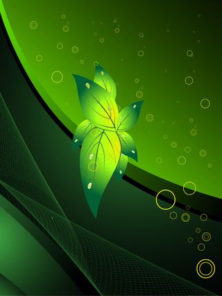 生态学的概念背景