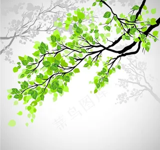 春天的树枝绿叶背景图片