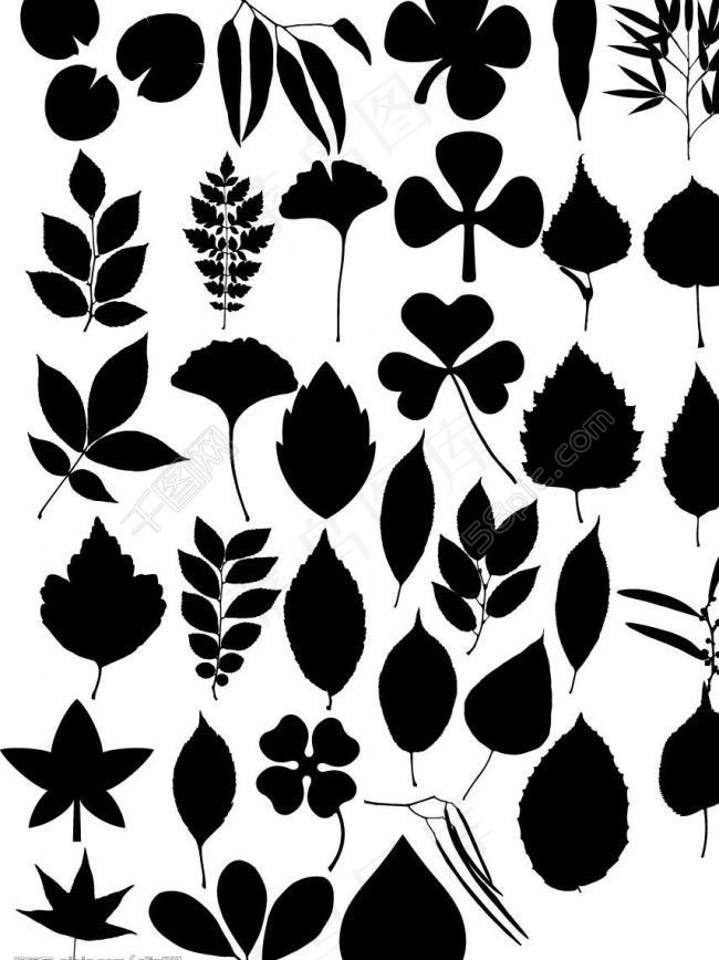 树木树叶剪影汇总图片