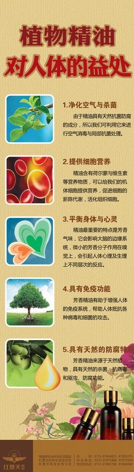 植物精油广告图片(2225X6831(DPI:72))psd模版下载