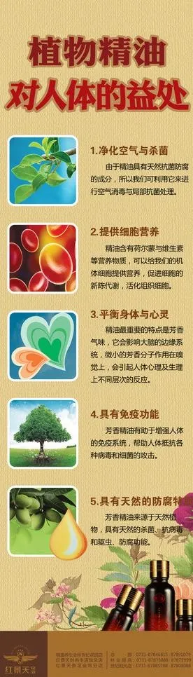 植物精油广告图片(2225X6831(DPI:72))psd模版下载