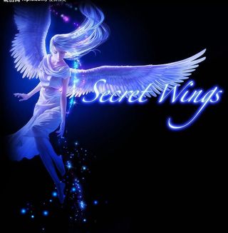 隐形的翅膀图片