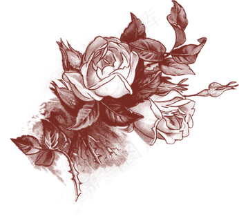 唯美手绘花卉海报请柬设计素材