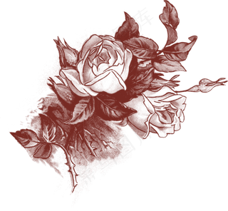 唯美手绘花卉海报请柬设计素材