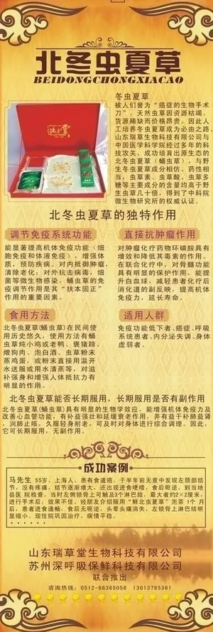 易拉宝 冬虫夏草图片