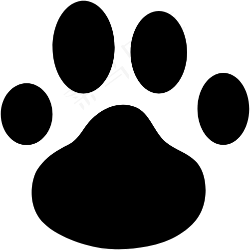 动物 爪子