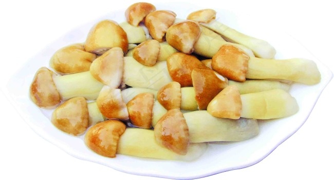 香菇图片素材下载