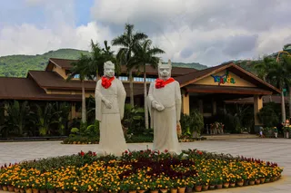 呀诺达雨林植物图片