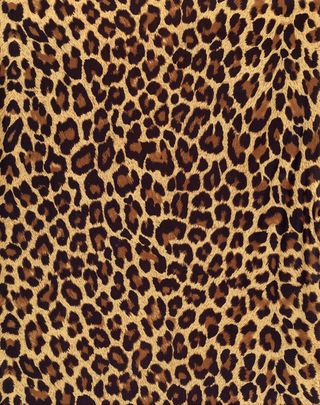 豹纹皮草背景图片