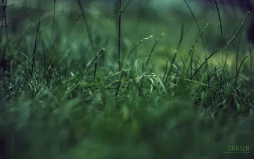 高清电脑桌面背景壁纸 高清电脑桌面背景壁纸