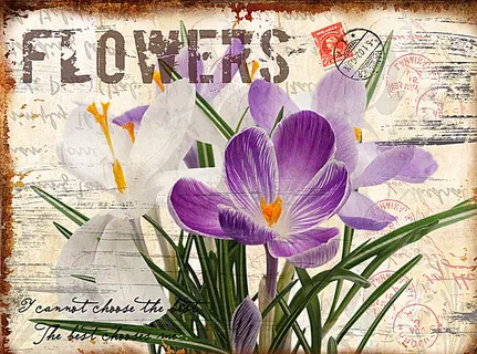 欧式古典装饰画图片 欧式古典装饰画图片