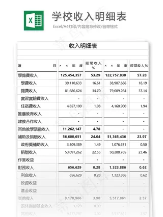 学校收入明细表格