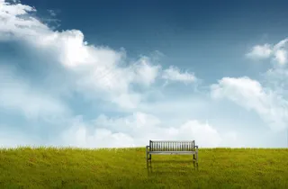 草地上的椅子图片