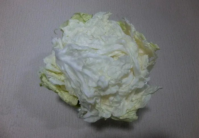 大白菜 （注非高清）