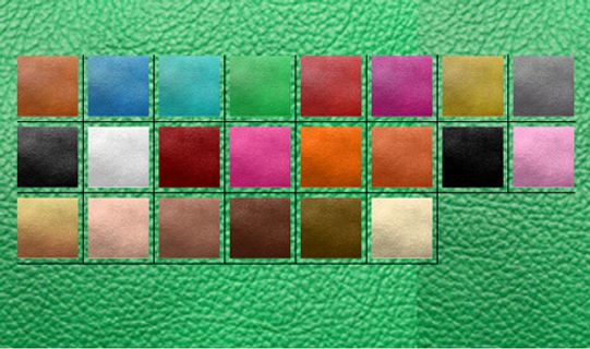 22款皮质图案pat