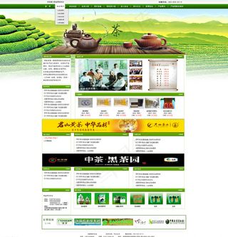 茶叶 网站 论坛 绿色图片