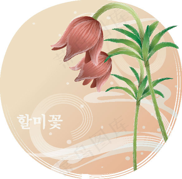 向量吊钟花插图eps,ai矢量模版下载
