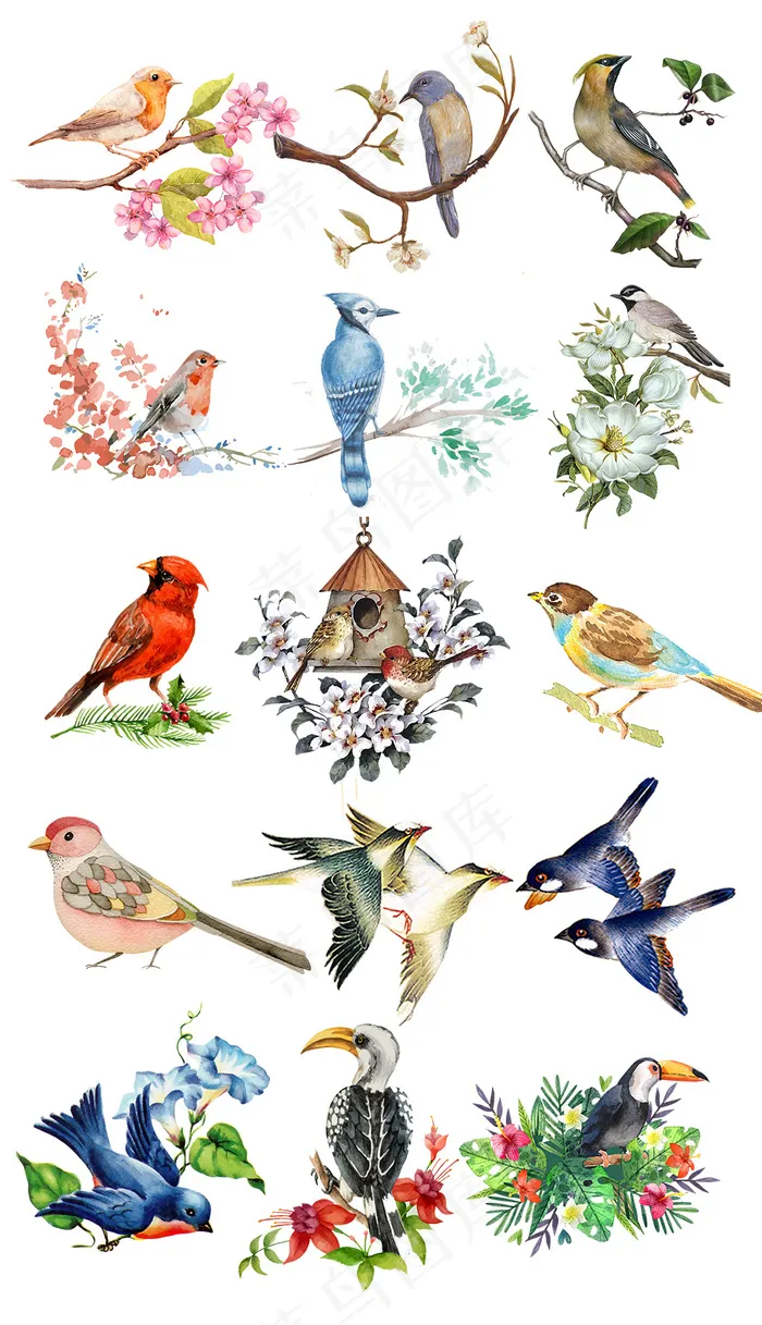 清新手绘花鸟装饰促销装饰素材psd模版下载