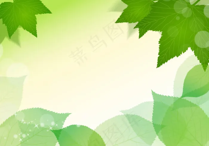 春天清新的绿叶子矢量插画
