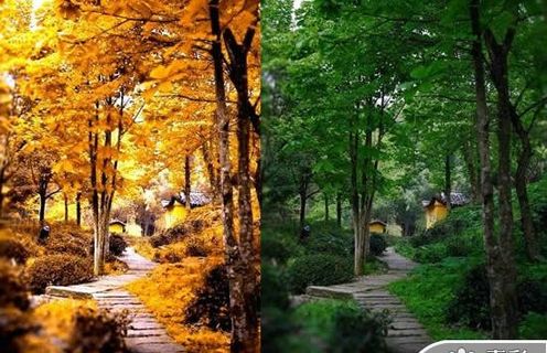 夏天秋天风景PPT模板