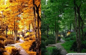 夏天秋天风景PPT模板预览图