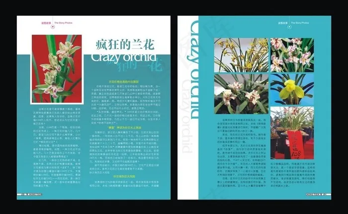 读图故事图片cdr矢量模版下载