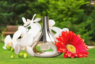 草地上的香水与鲜花图片