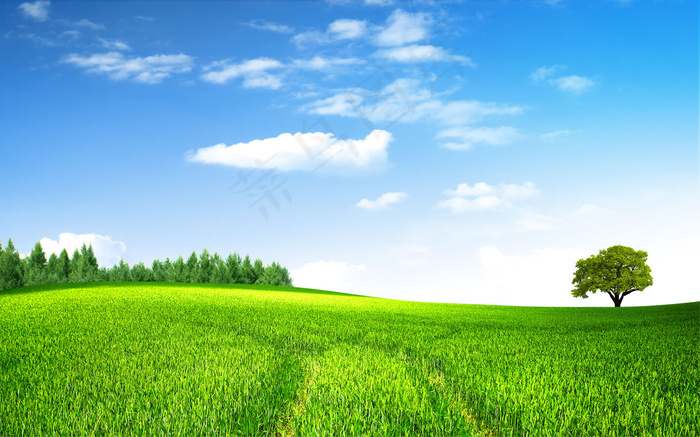 绿色田野大图