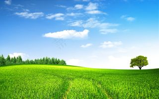 绿色田野大图