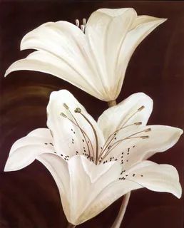 白色花朵油画 白色花朵油画