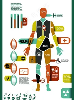 人体解剖信息图表图片