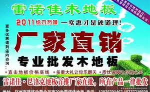 雷诺家图片
