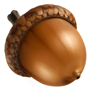 卡通松子松果PNG免扣透明素材