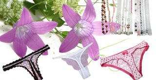 女士性感内衣裤图片