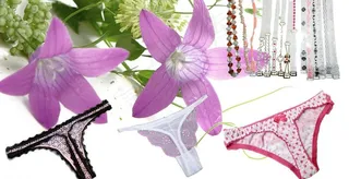 女士性感内衣裤图片