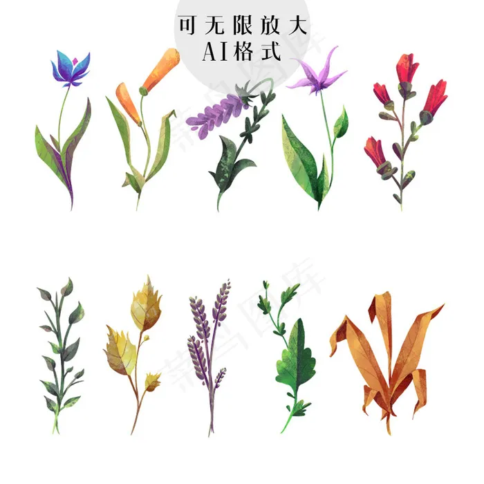花卉