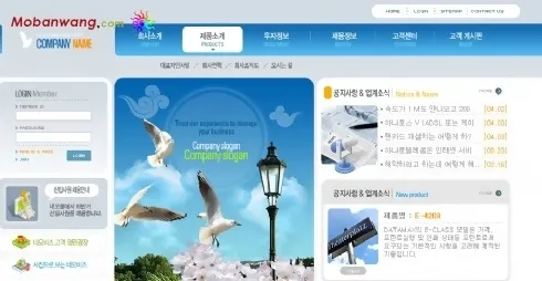 韩国动物保护协会网站模板psd模版下载