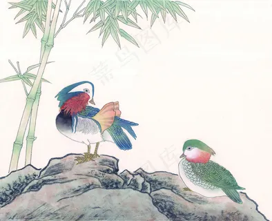 竹子 竹子