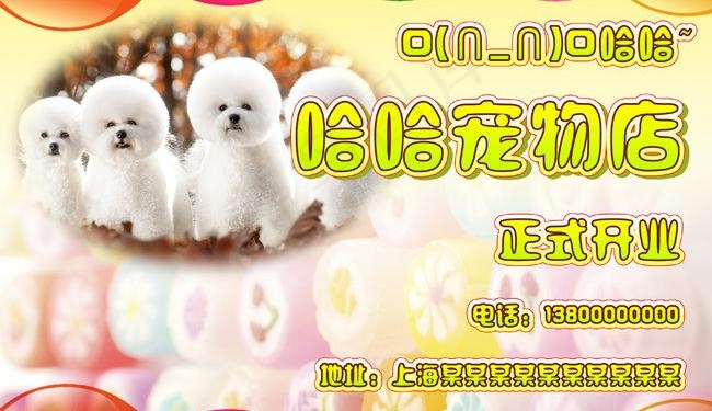 宠物店开业图片psd模版下载