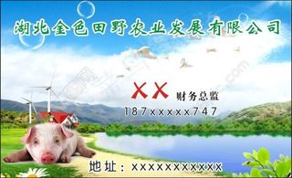 名片设计 简洁大方名片模板