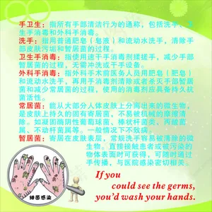 手卫生知识