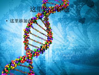 DNA分子学