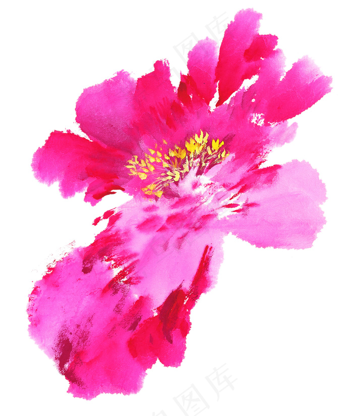 花卉牡丹